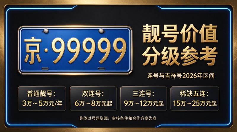 闲置京牌租赁车辆展示